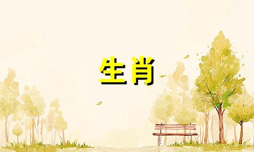 2021年属龙人的运势和2021年属龙人的运势