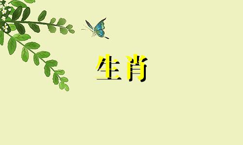 36岁属虎人的婚姻2022年会离婚吗？