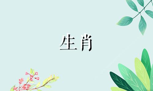 属鸡人2022年运势详解。虎年属鸡人2022年运势如何?