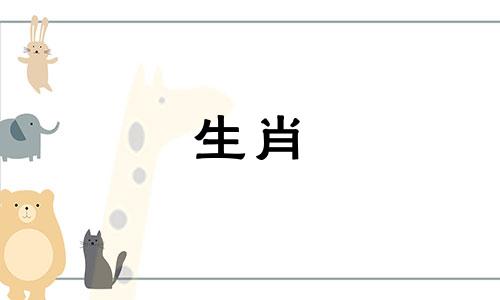 猪年出生的人2021年的事业和工作运势相对稳定。