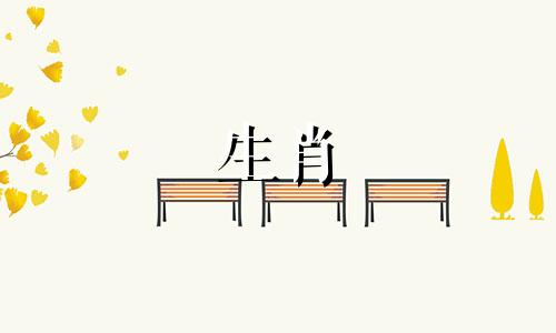 属羊、属羊的属兔人的运气会非常好。