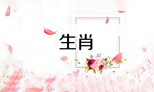 猪是什么时候出生的？他什么时候出生的？寅亥时。