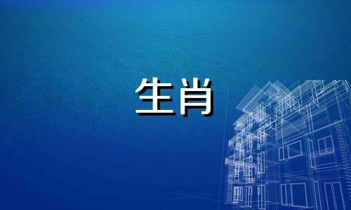 家里适合养什么鱼？属龙鱼有利于招财。