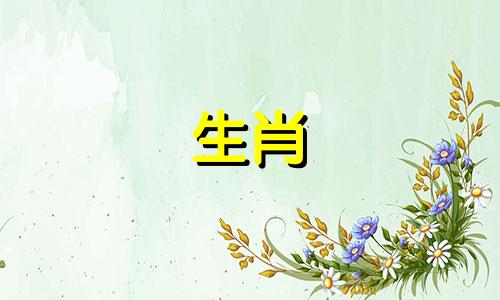 1990年属马,2021年健康受太岁影响。