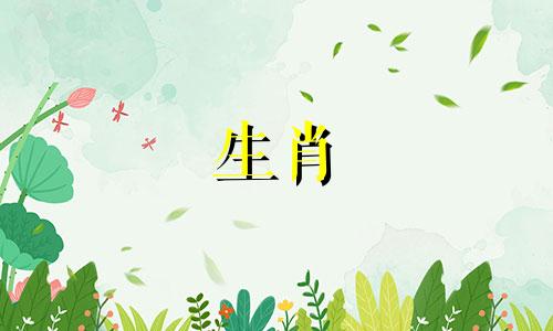 属狗的女性2021年适合生孩子吗？ 82属狗女39岁将有大祸