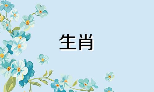 2022年兔年和虎年你的运势如何?