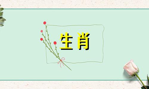 属猴的男人和属狗的女人是非常相配的。