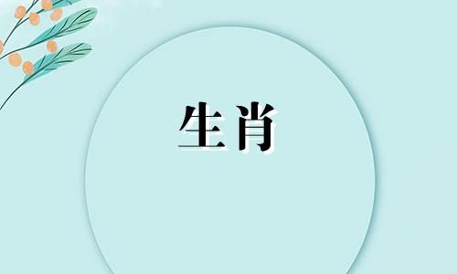 1964年,属龙的命运是什么?