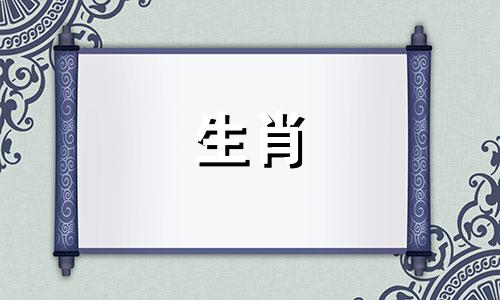 2005年生肖鸡,2022年学业、考试运势