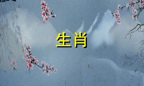 马与鼠的姻缘该如何解决。如何解决不同的关系。