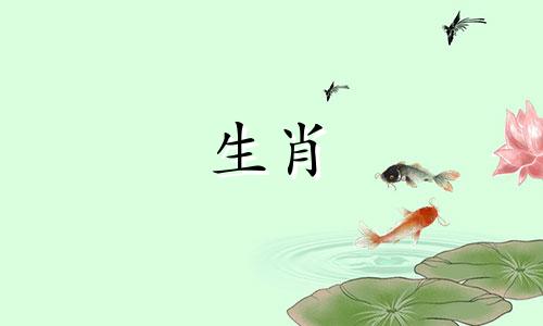 属龙的人在2021年的爱情运势中，一定要学会主动化解矛盾和误会。