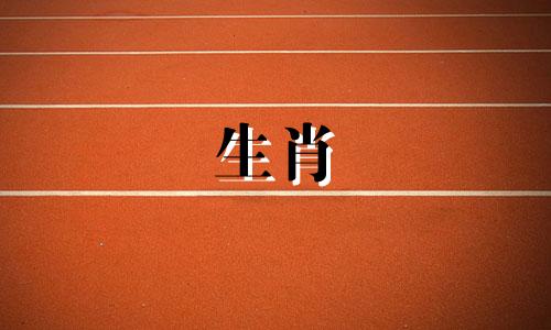 属狗人2021年运势,2021年属狗人太岁的刑罚如何化解?