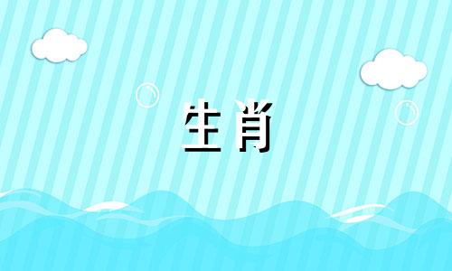 2021年属猪的女性将不再有幸成为月光族的成员。