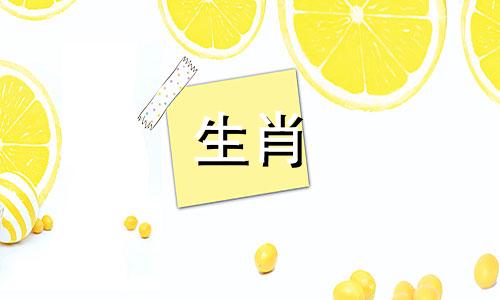 属牛人1973年十年运势及属牛人1973年未来十年运势