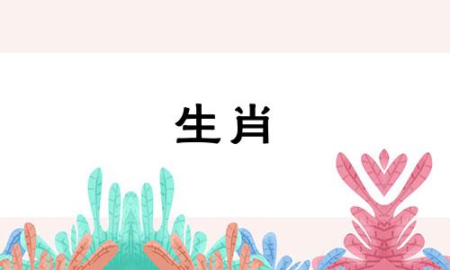 母兔出生的最佳月份是什么时候？兔子几月份出生最好？