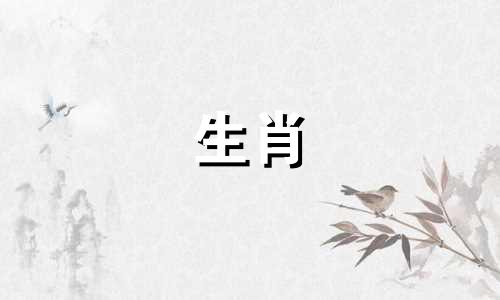 鸡年出生的男士2022年全年运势