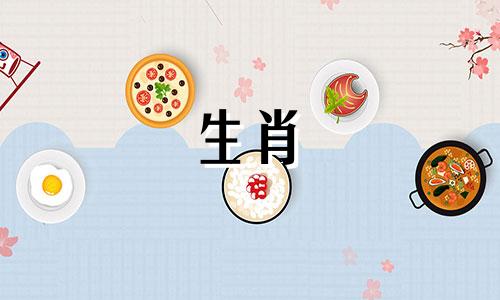 狗年出生的人最适合什么生肖？狗和兔子有相同的三观。