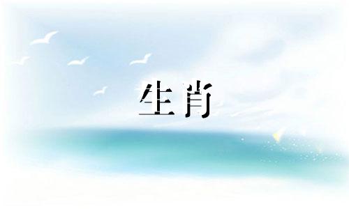 1987年的生肖是兔，五行是火。在情感上，喜新厌旧并不容易。