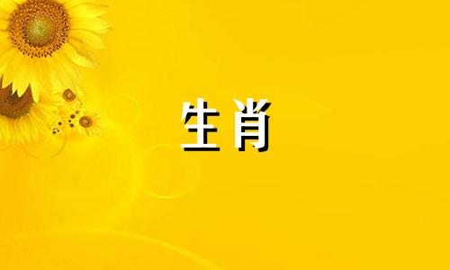 属龙人2021年2月运势不佳,要保管好自己的随身物品。