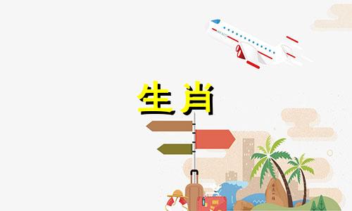 2018年属狗人2021年学业稳定，好运连连