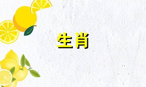 属兔的人做什么生意最旺？销售行业会带来财富。