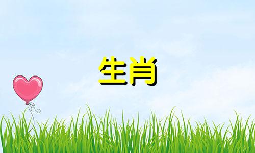 属狗的女人最适合哪些生肖？属兔的人和属马的人性格互补。