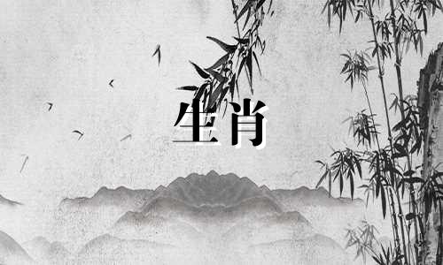 属鸡的生肖鸡在2021年上半年运势不错，大吉大利。