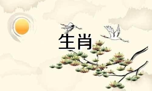 1987年属兔人33岁以后，财富和事业都会蒸蒸日上。