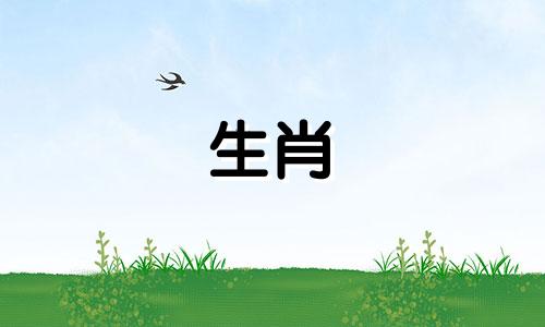 1969年生肖鸡，会不会有灾难呢？如果2022年属鸡人53岁，会不会有灾难呢？