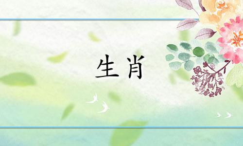 生肖虎2021年的财运方面总体来说还是不错的。