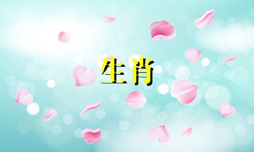 属兔人一生中贵人是谁?狗是坚强的支持者?