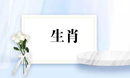 2021年哪些生肖的运气最好:属鼠的事业、人缘都不错