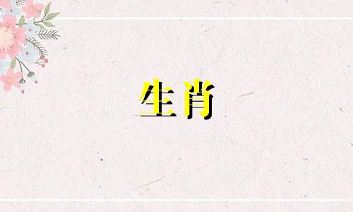 母属龙与公马相配结婚会怎样呢？配对将会有好运。