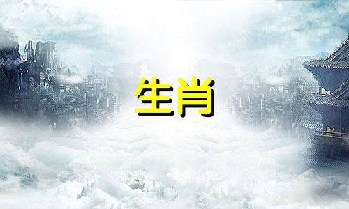 2007年出生的属猪人2021年学业进步考试运势不错。
