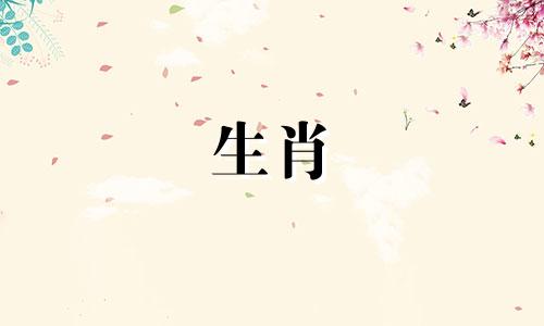 属牛和属虎相配吗?十二生肖,婚姻爱情都很好。