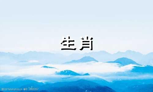 79. 属羊人一生会遇到多少大灾难？