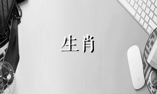 属猪人2021年5月各方面运势都不错，爱情、事业运势都有所提升。