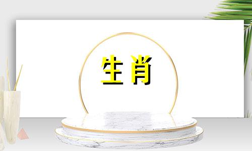 2021年春节出生的牛宝宝财运好吗?