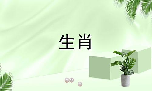 当流浪狗来到你家门口，这其实是一件幸事。