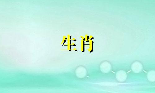 属羊与属虎的婚姻是否势均力敌?不同性格的人有不同的婚姻风格。