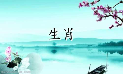 1995年出生的五行属木、属猪的人适合吃什么？