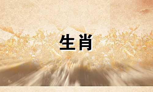 属兔男最配什么生肖：马、狗、猪？