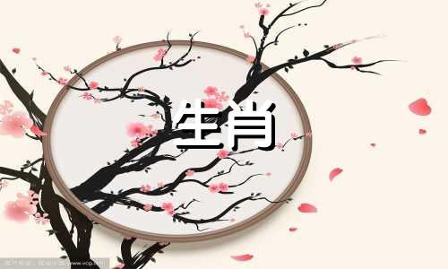 属蛇人买房买哪一层比较吉利？