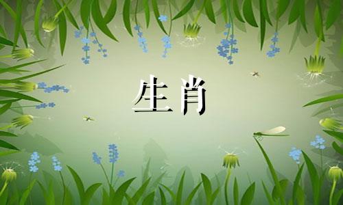 2021年元宵节出生的牛宝宝们,爱情运不错。