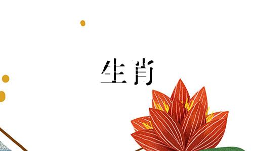 1987年属兔人的最佳配对 1987年属兔人的最佳配对