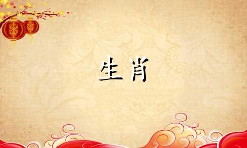 精明的生肖女,不容易被欺骗,是精明的猪女。