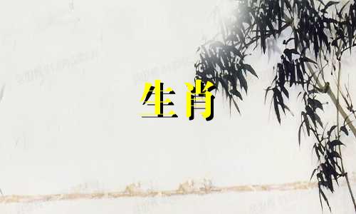 属兔、属马、属蛇出生的宝宝,财运不错,发展也不错。