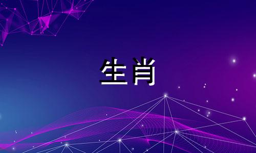 公狗和母狗适合结婚吗?公狗和母狗适合在一起吗?