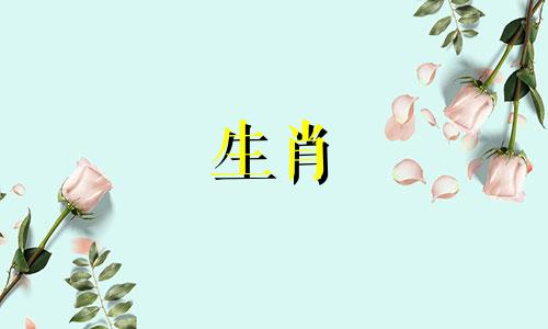 1996年是火鼠还是水鼠？ 1996年是水鼠还是火鼠？