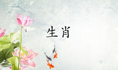 男牛与女蛇的婚姻状况，为什么蛇和牛那么好呢？